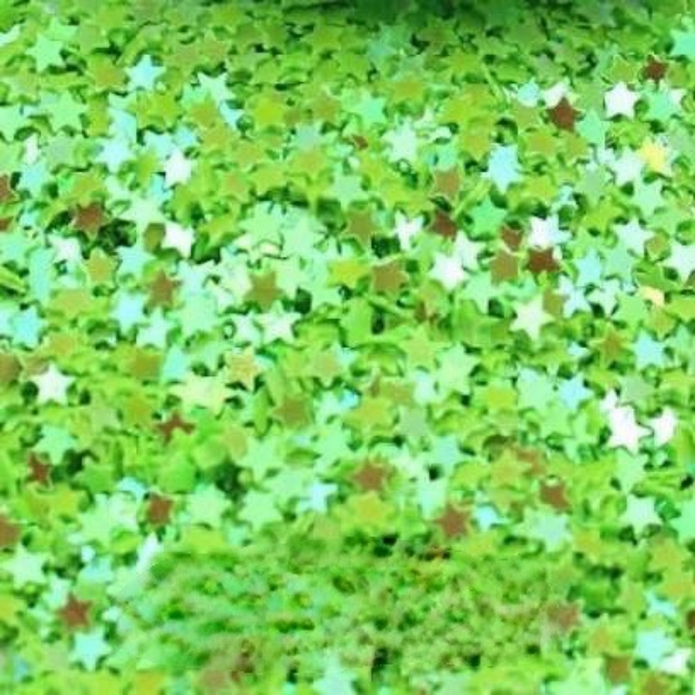 NWT Nail Art Designs Tiny Dainty Bright Green Holographic Confetti Stars! - Picture 7 of 8